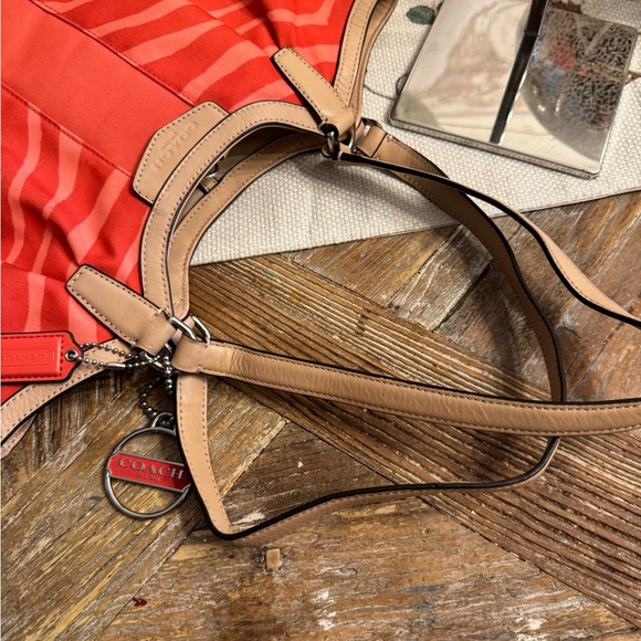 Coach Zebra - Picture 12 of 12